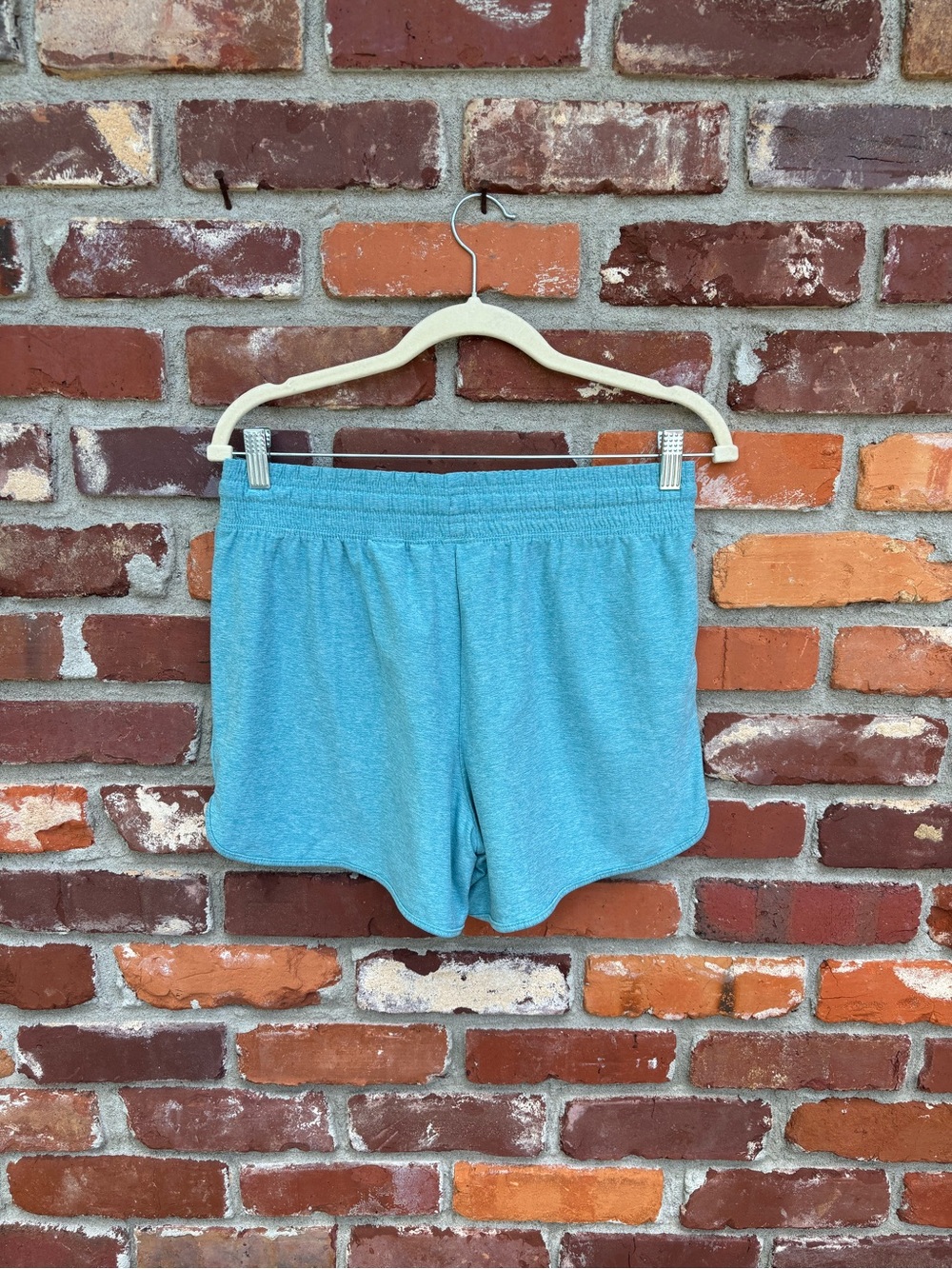 EUC Danskin Shorts